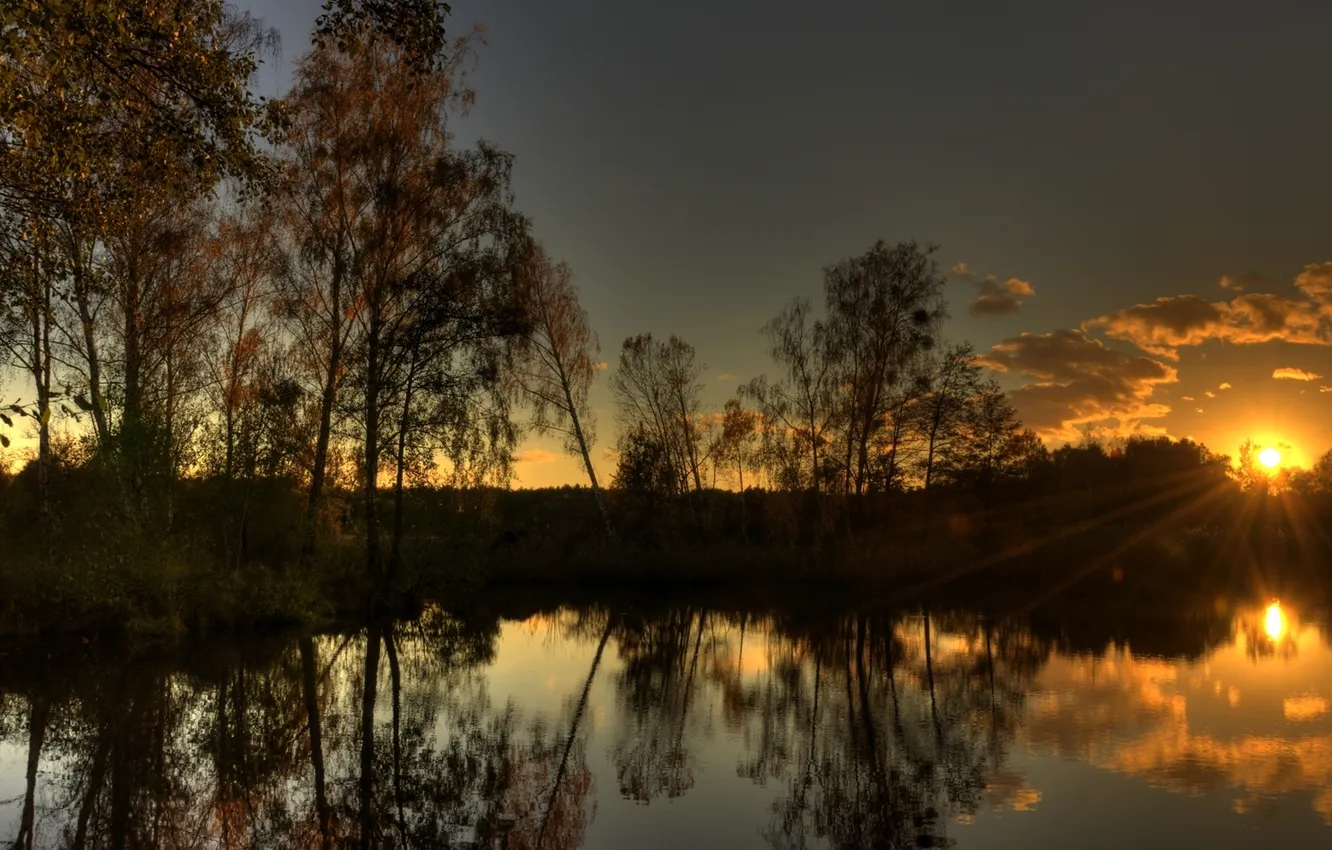 Фото обои лес, вода, солнце, лучи, свет, деревья, закат, озеро