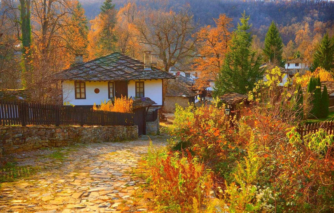 Фото обои Дома, Осень, Деревня, Fall, Дорожка, Autumn, Colors, Village