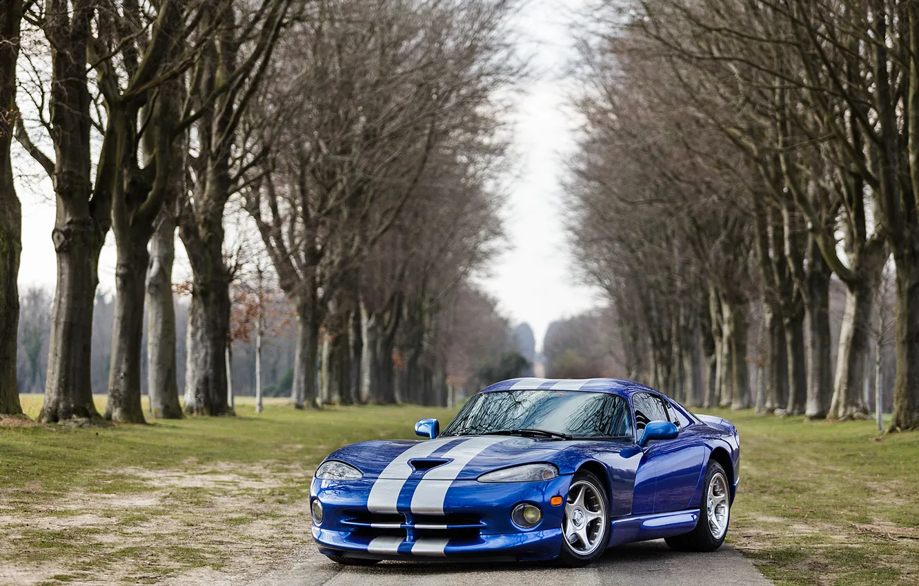 Фото обои Dodge, Viper, Blue, GTS