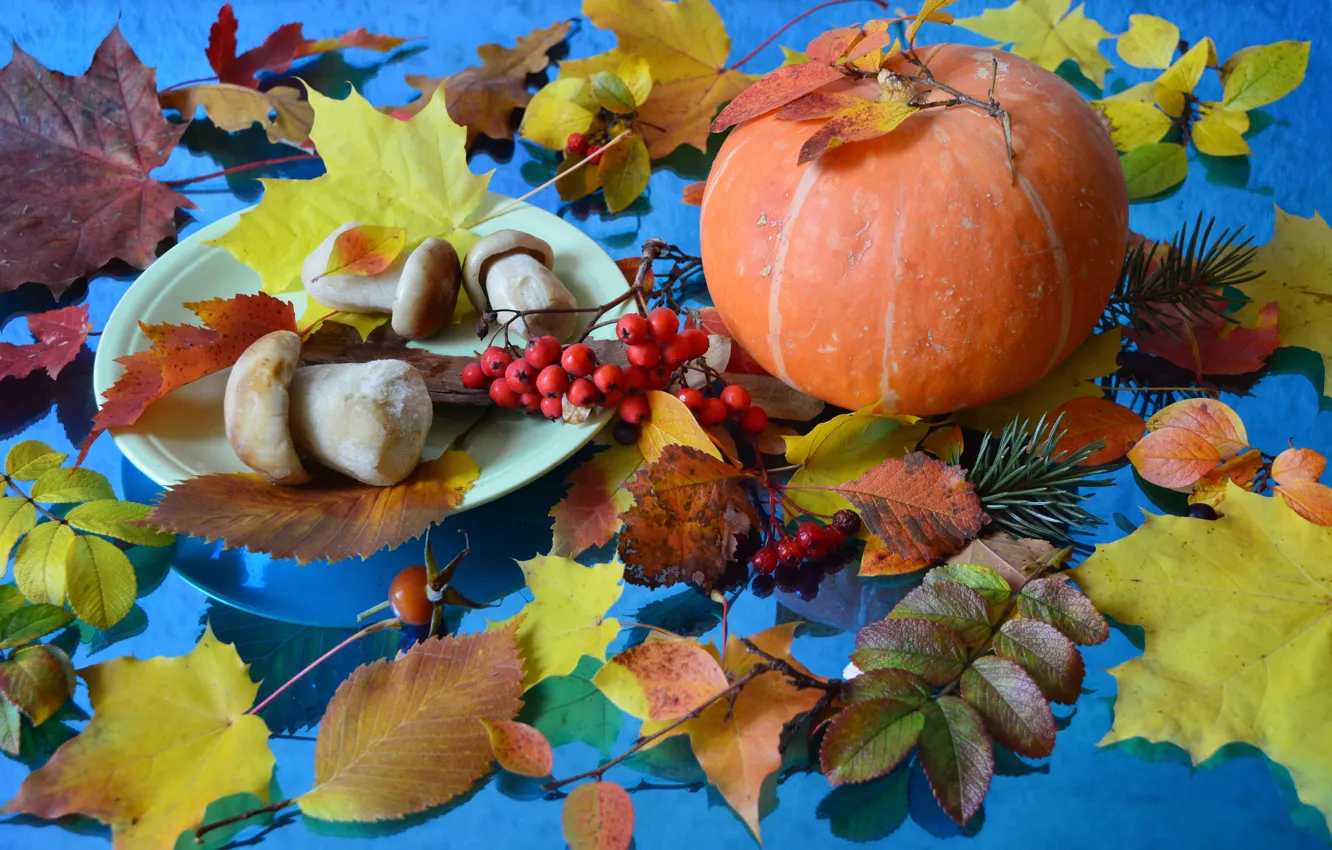 Фото обои осень, листья, грибы, тыква, натюрморт, хвоя