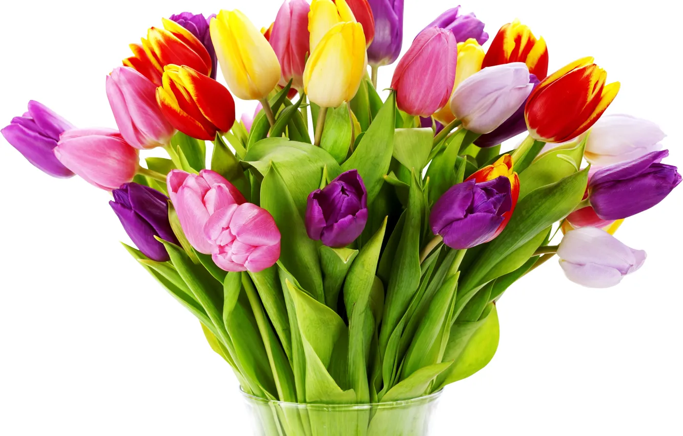Фото обои цветок, цветы, природа, тюльпан, букет, весна, тюльпаны, ваза