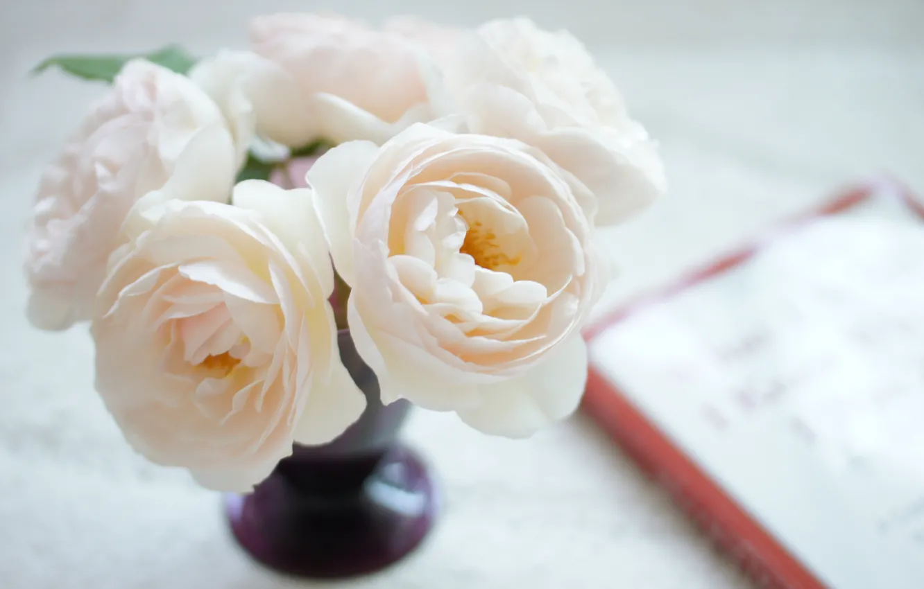 Фото обои цветы, розы, букет, ваза, бело-розовые