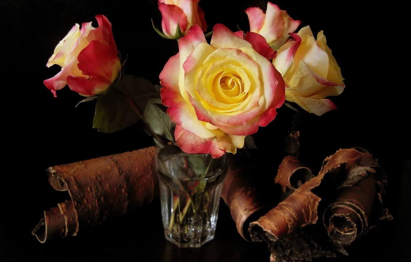 Фото обои цветок, вода, цветы, стакан, розы, букет, кора, красивые