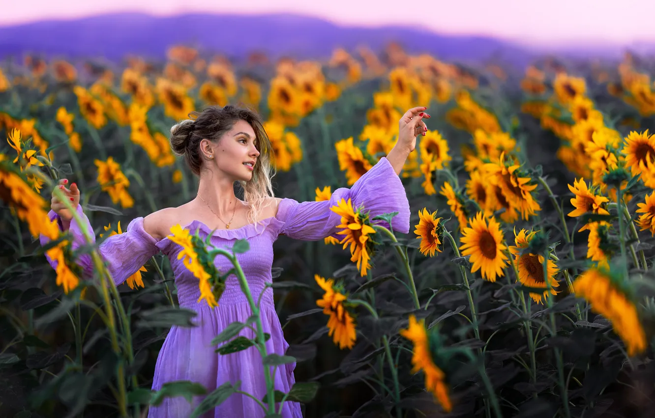 Фото обои взгляд, девушка, подсолнухи