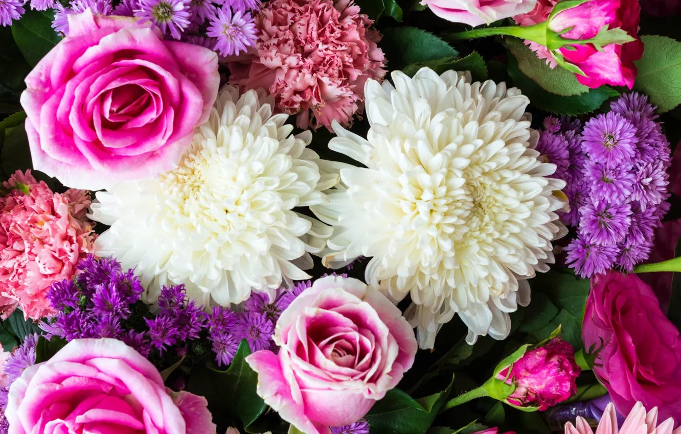 Фото обои розы, rose, хризантемы, flowers, гвоздики, Георгины