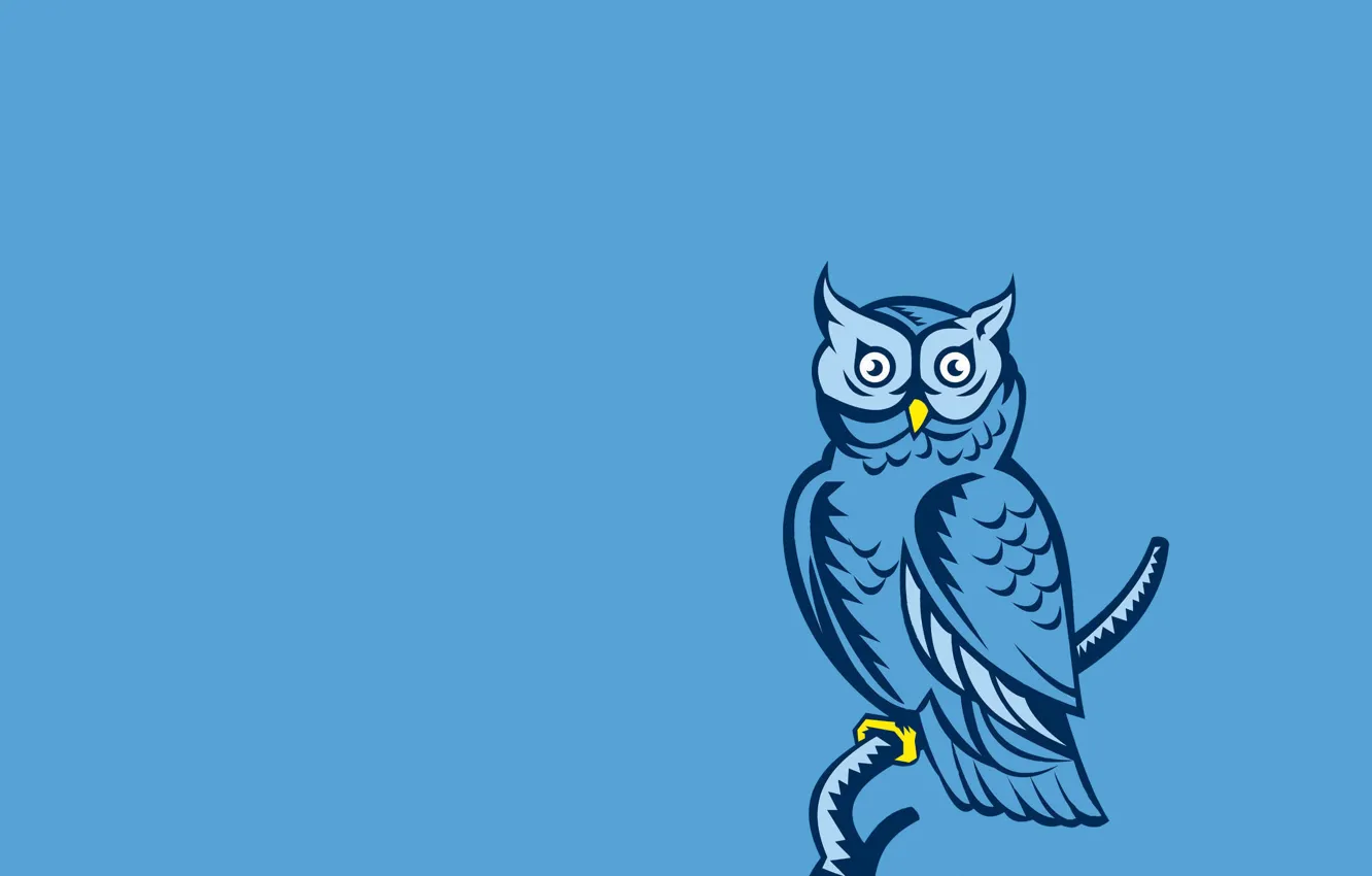 Фото обои сова, птица, минимализм, ветка, owl