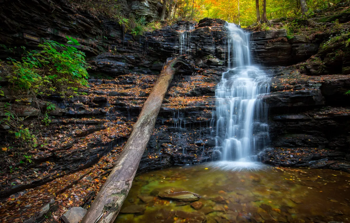 Фото обои осень, лес, листья, ручей, камни, водопад, США, Ricketts Glen