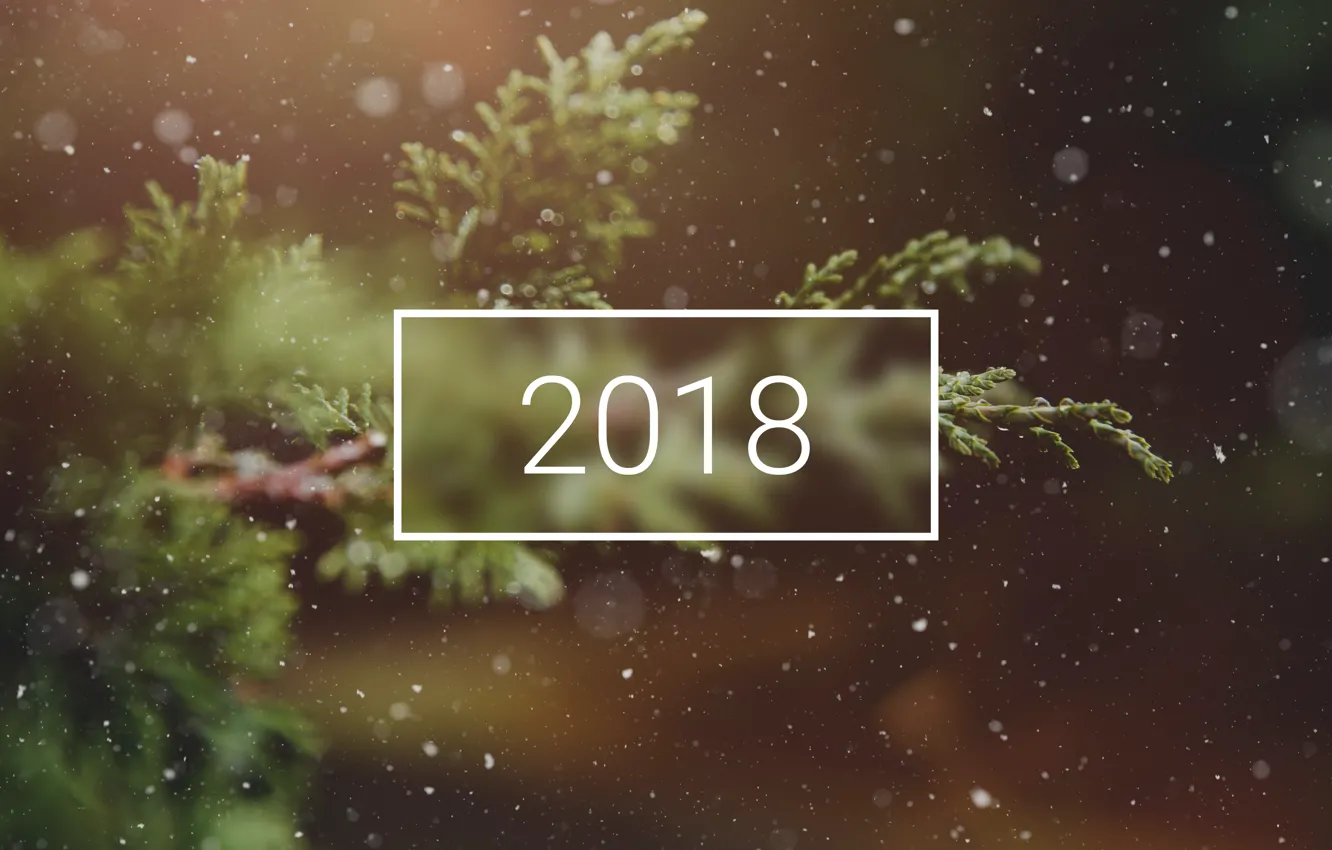 Фото обои wallpaper, christmas, new year, winter, snow, tree, bokeh, 2018