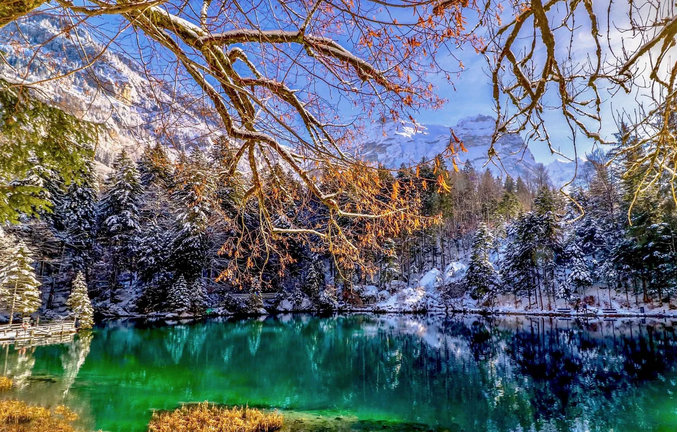 Фото обои зима, снег, горы, озеро, зелёная вода