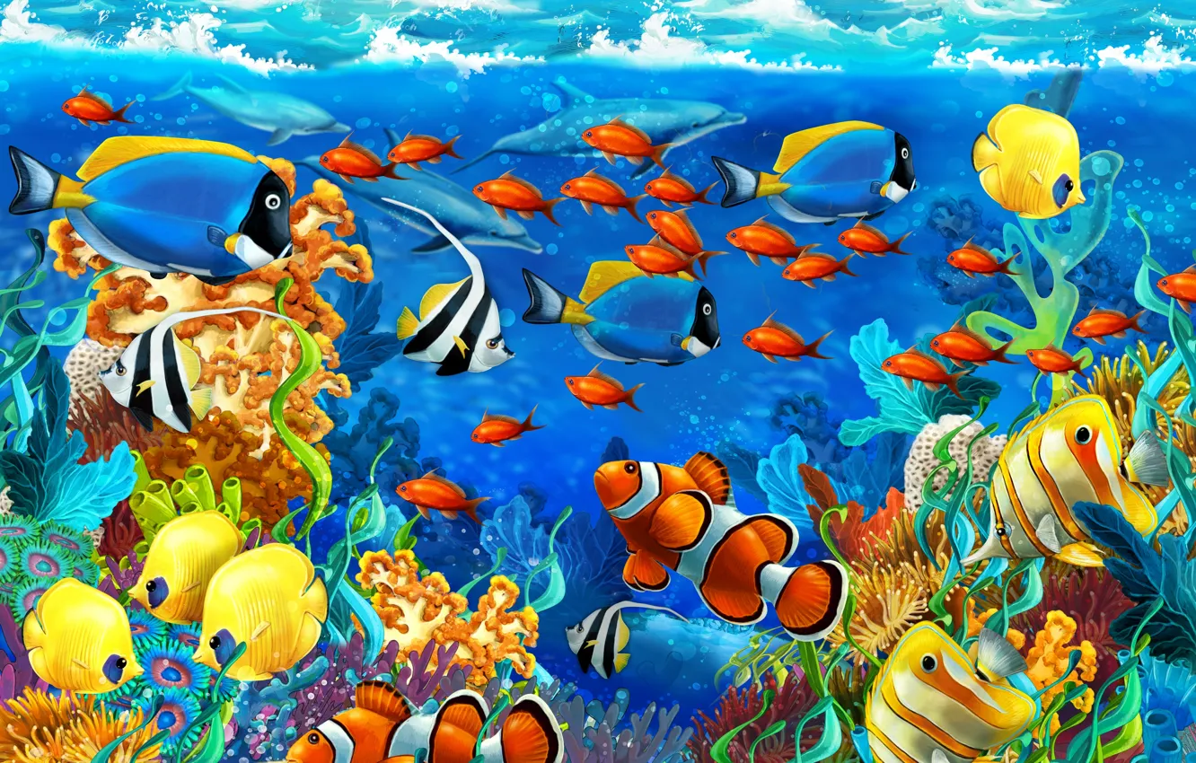 Фото обои море, рыбы, водоросли, кораллы, дельфины