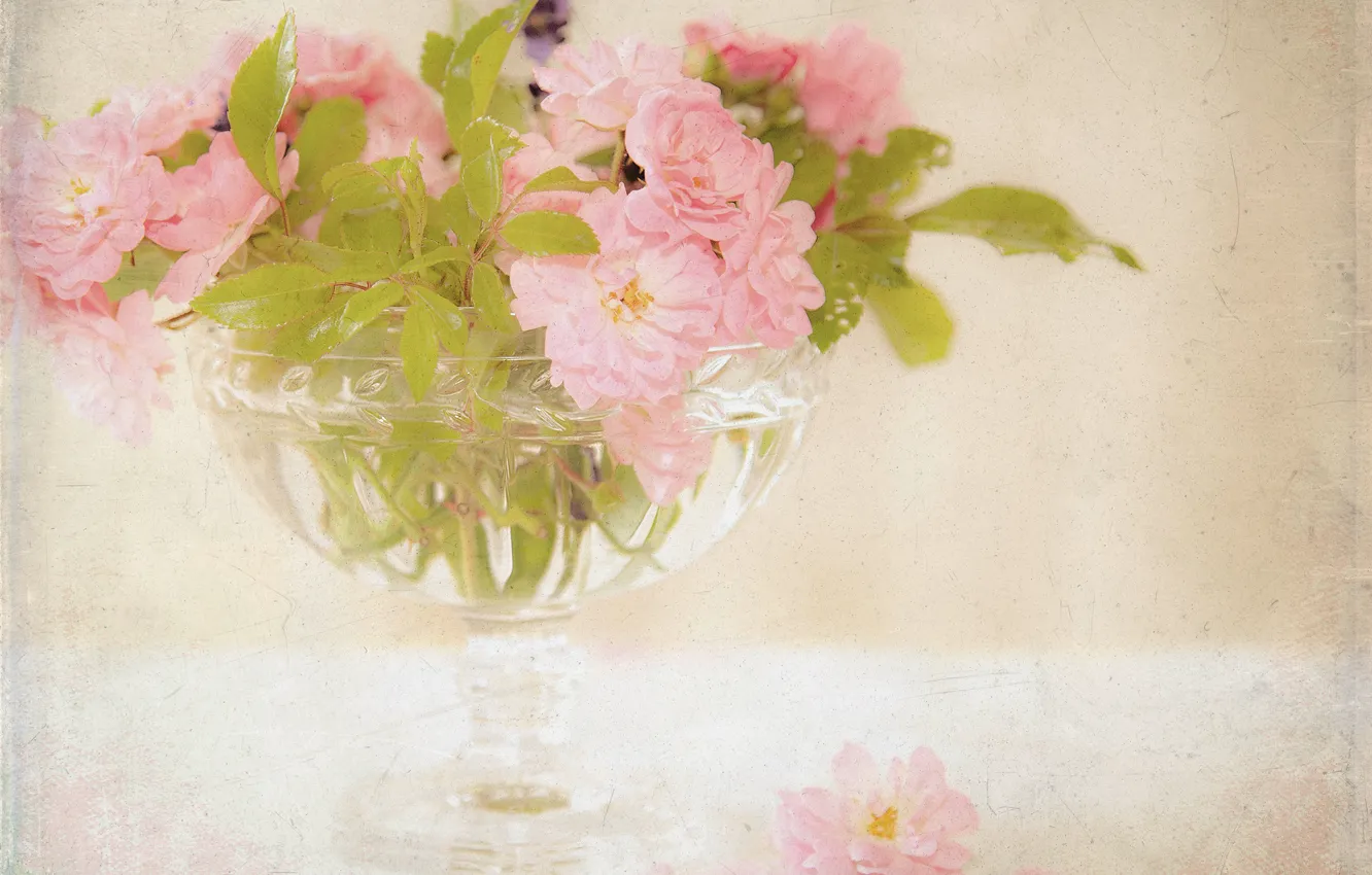 Фото обои цветы, розы, букет, ваза, розовые, чайные