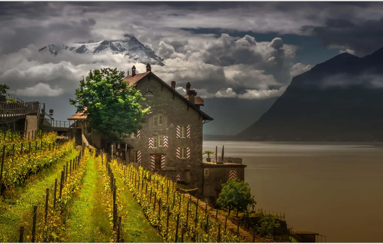 Фото обои горы, озеро, дом, Швейцария, виноградник