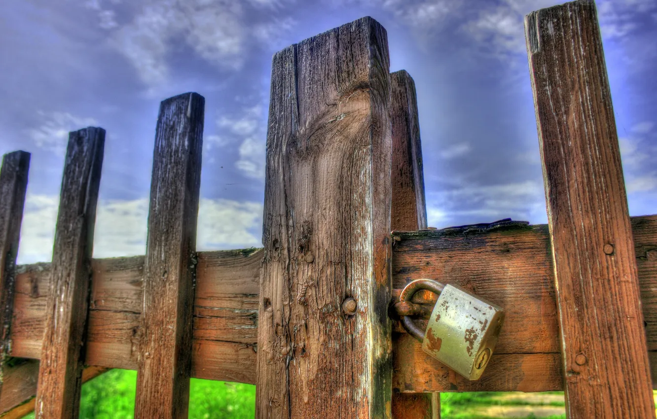Фото обои grass, sky, wood, fence, lock