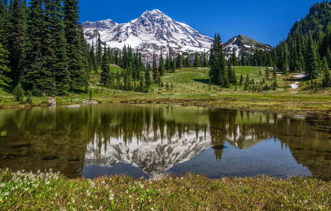 Фото обои горы, озеро, США, Mount Rainier