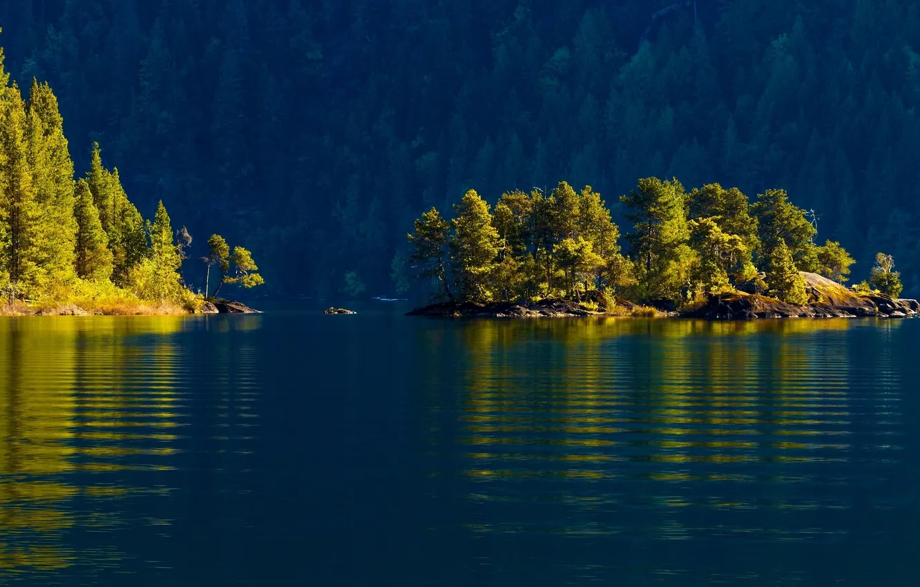 Фото обои лес, вода, деревья, Канада, Canada, островок, Cowichan Lake, озеро Кауичан