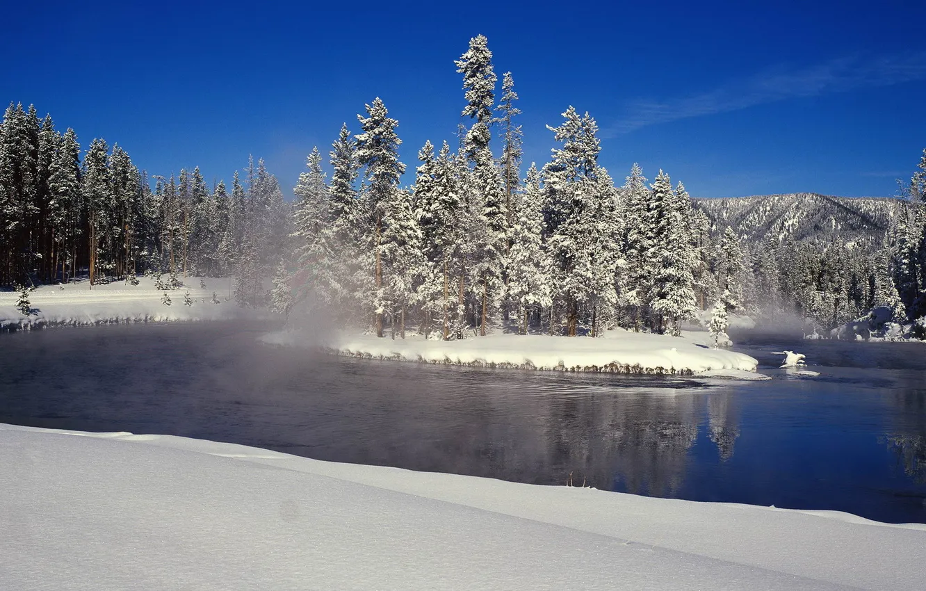 Фото обои зима, снег, деревья, река, елки, ель