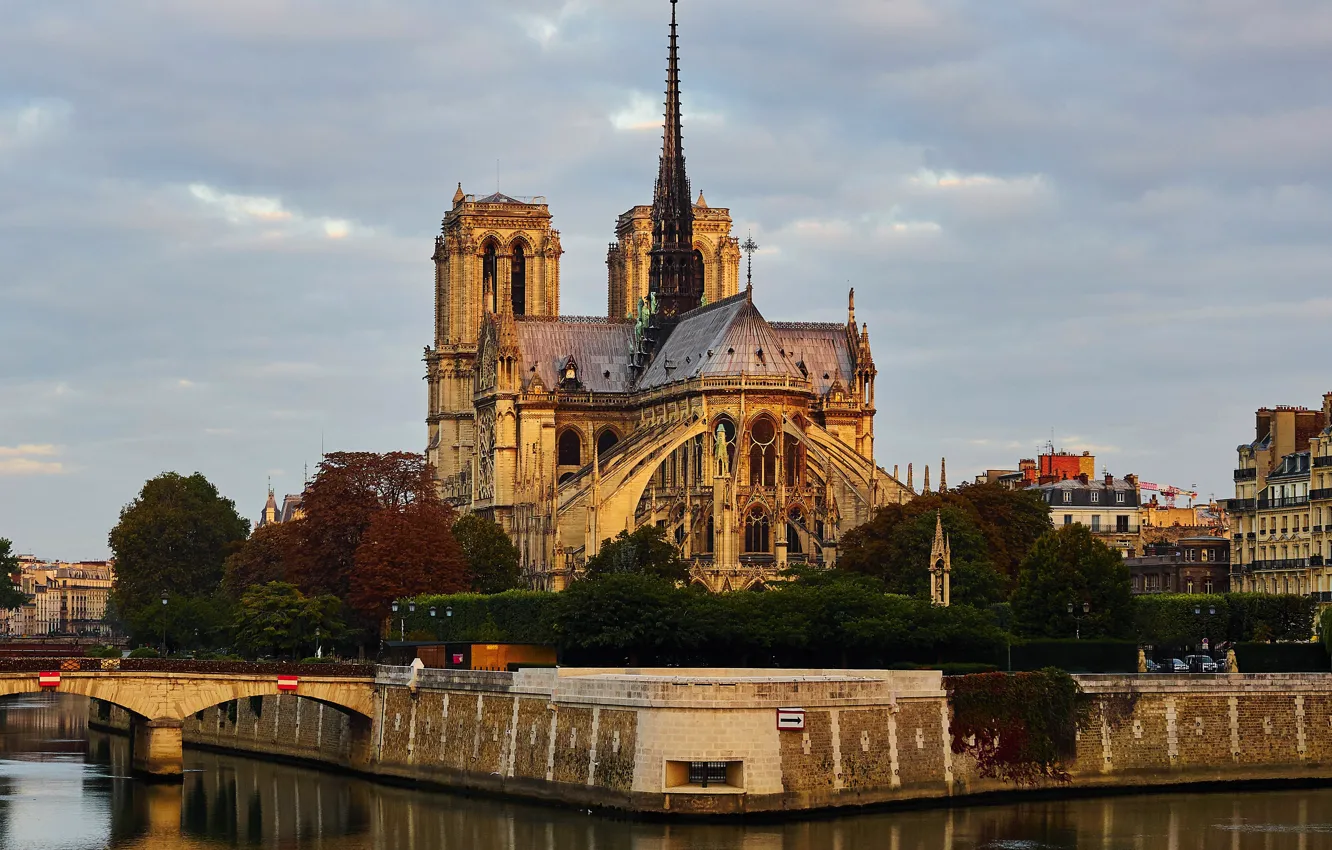 Фото обои река, Франция, Париж, остров, Сена, Собор Парижской Богоматери, Нотр-Дам-де-Пари, Сите