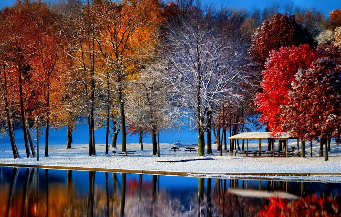 Фото обои зима, иней, осень, листья, вода, снег, деревья, пейзаж