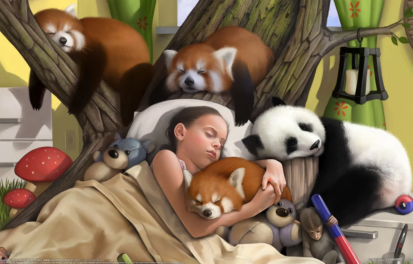 Фото обои животные, игрушки, сон, арт, девочка, мухоморы, панды, Corrado Vanelli