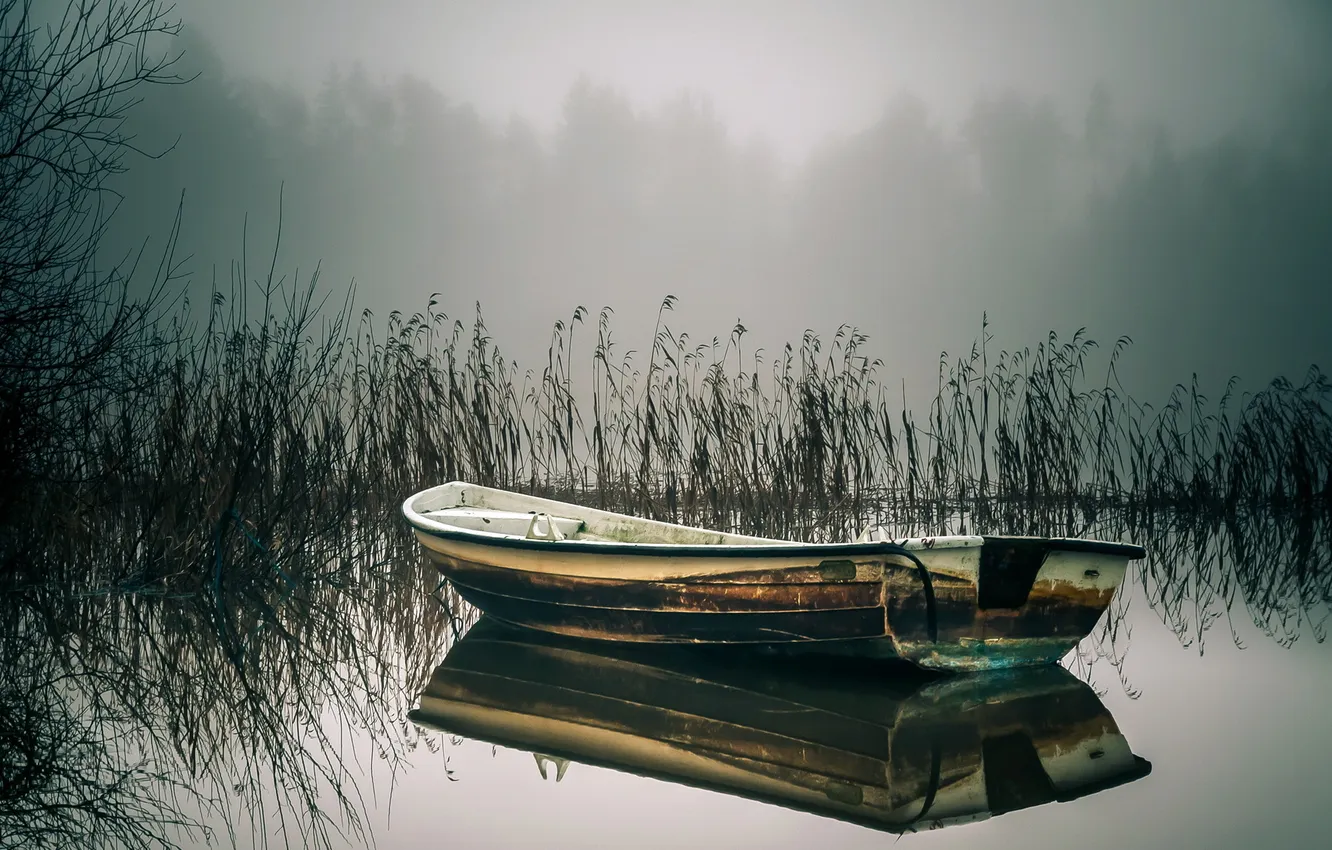 Фото обои озеро, лодка, камыш