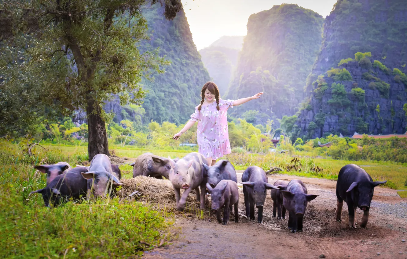 Фото обои лето, девушка, прогулка, азиатка, свиньи