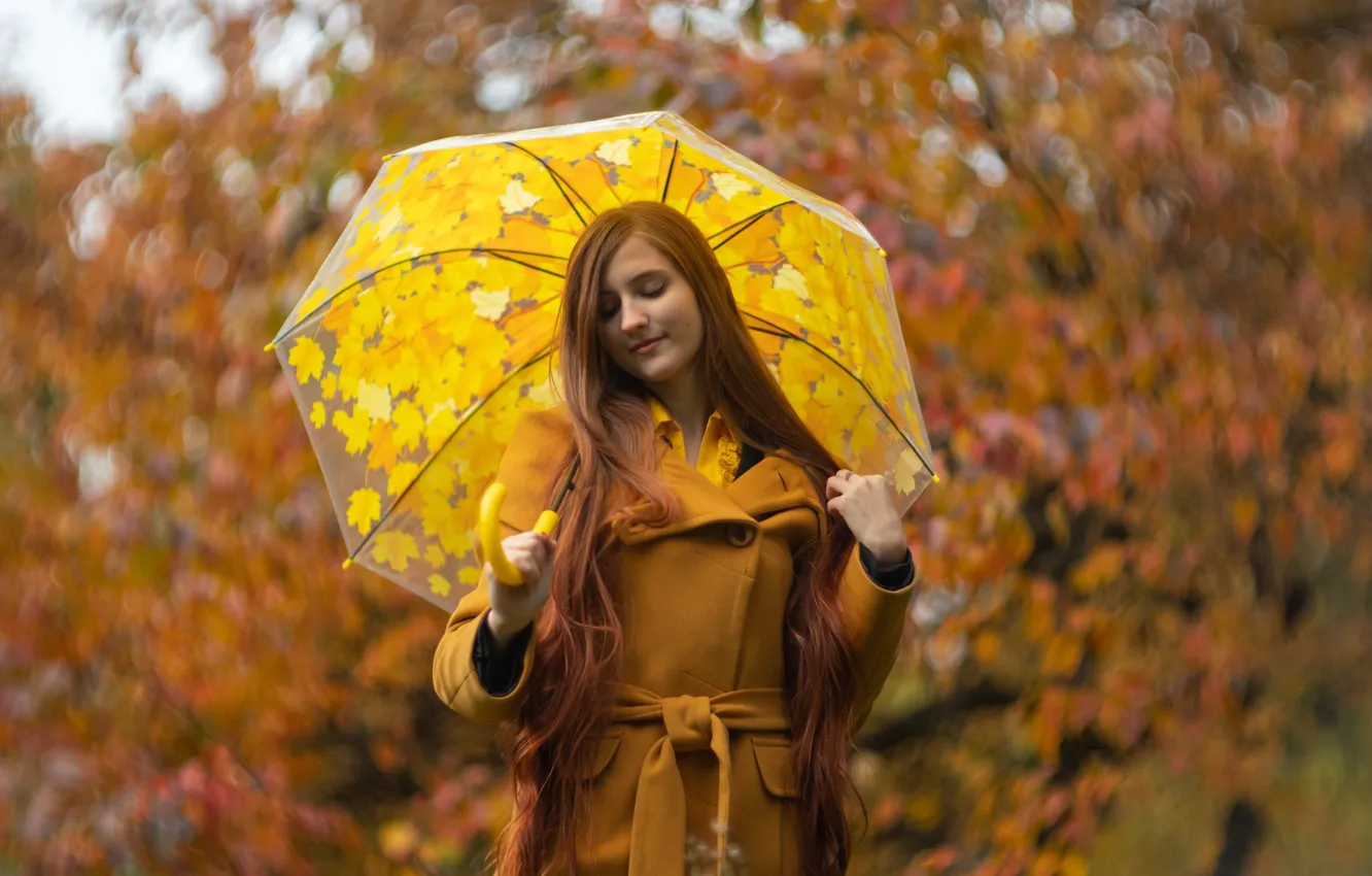 Фото обои осень, лес, девушка, природа, поза, парк, листва, зонт