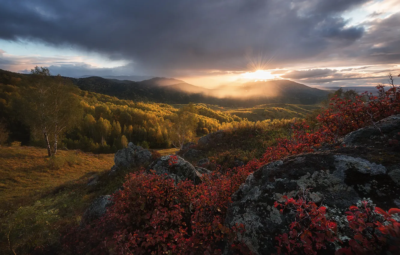Фото обои осень, лес, небо, солнце, облака, лучи, горы, камни