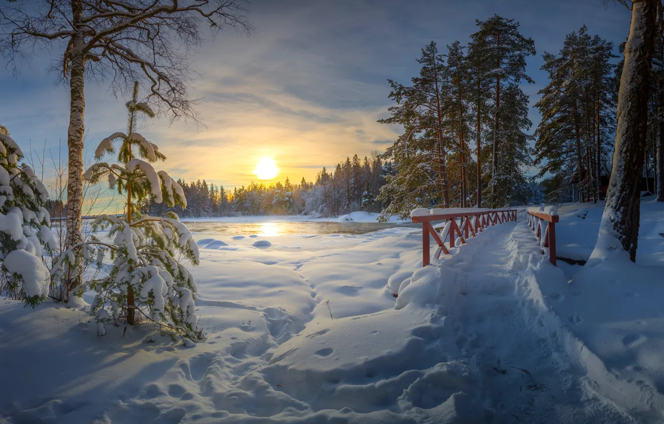 Фото обои зима, лес, снег, деревья, закат, следы, мост, река