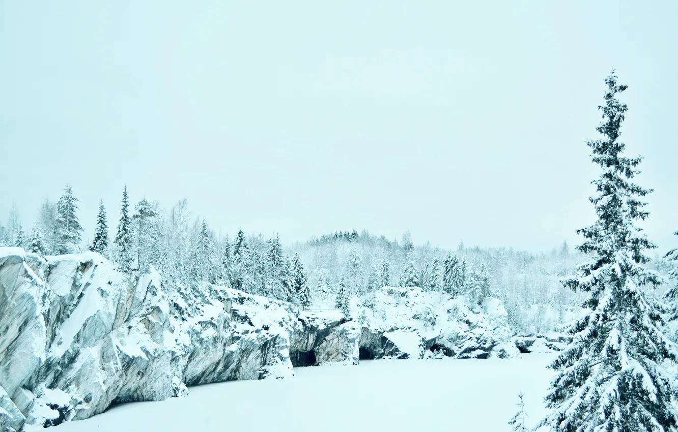 Фото обои холод, зима, лес, белый, снег, пейзаж, горы, природа