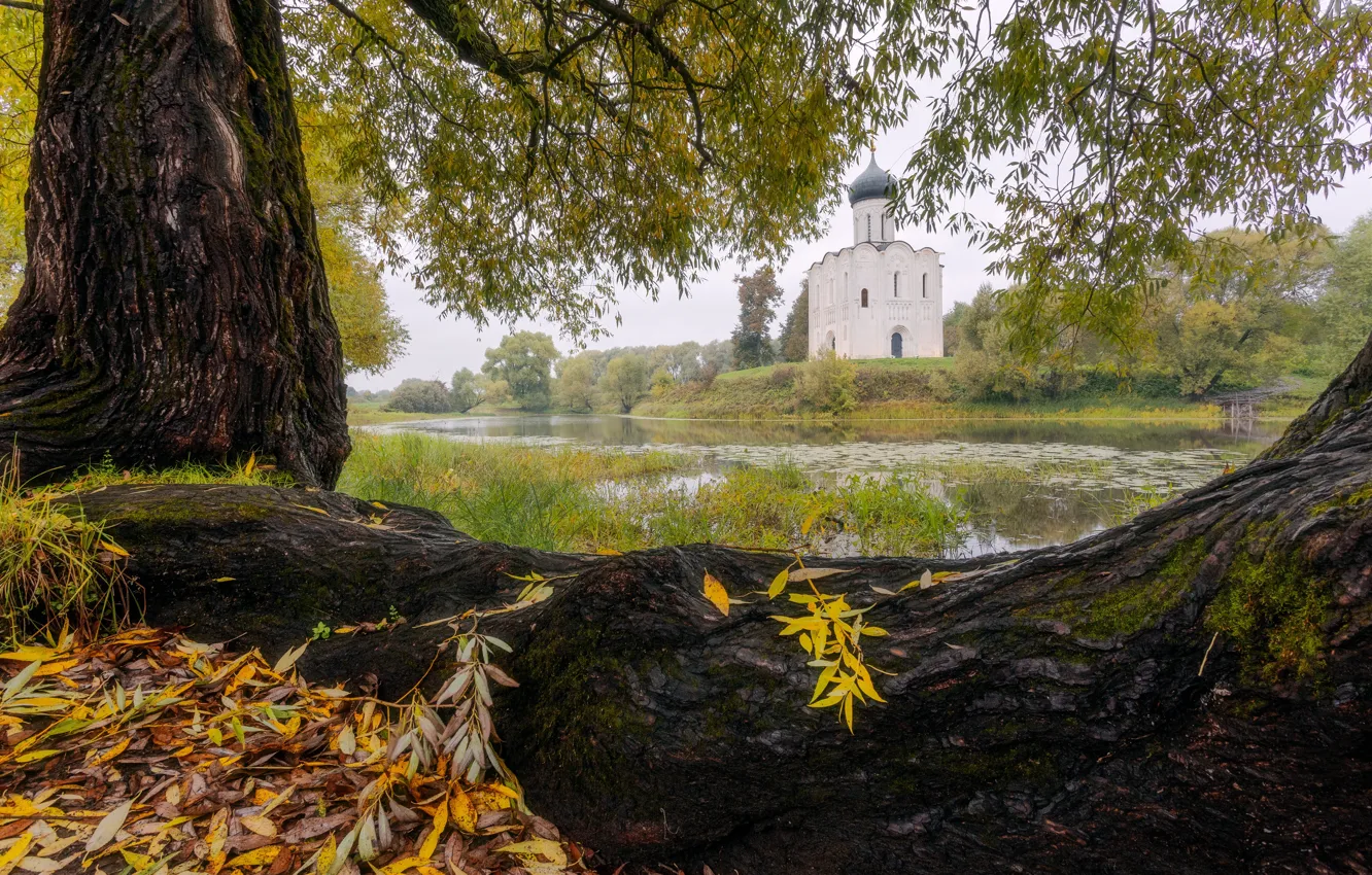 Фото обои осень, парк, церковь