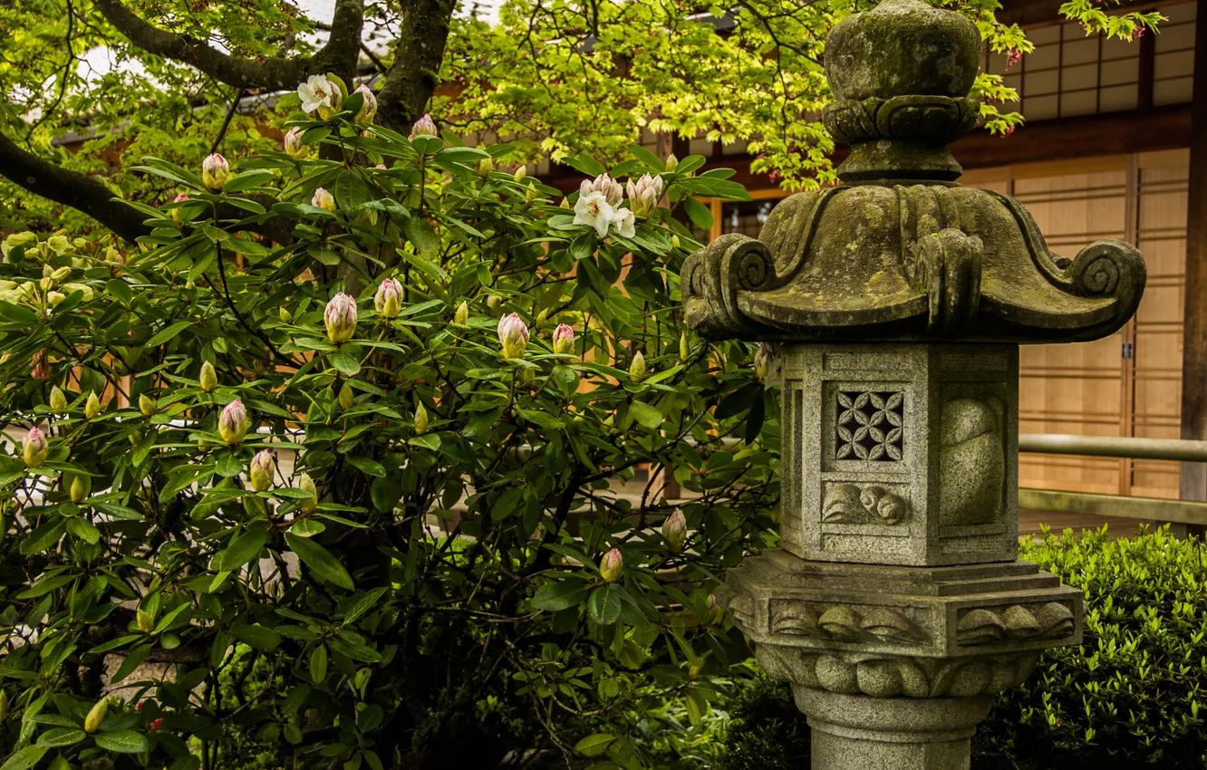 Фото обои зелень, листья, цветы, япония, куст, сад, фонарь, каменный