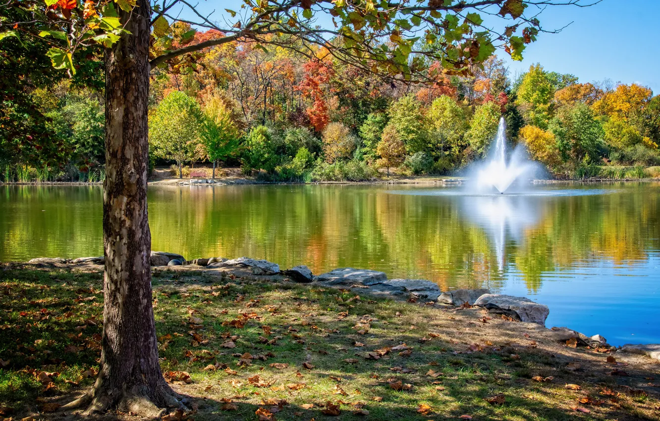 Фото обои осень, деревья, пруд, парк, фонтан, Миссури, Central Park, Missouri