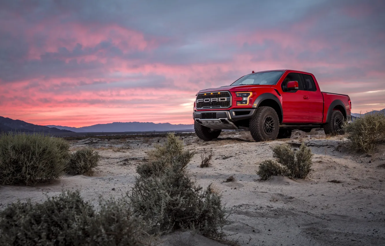 Фото обои Ford, Песок, Куст, Пустыня, Raptor, F-150, Дюна, 2019