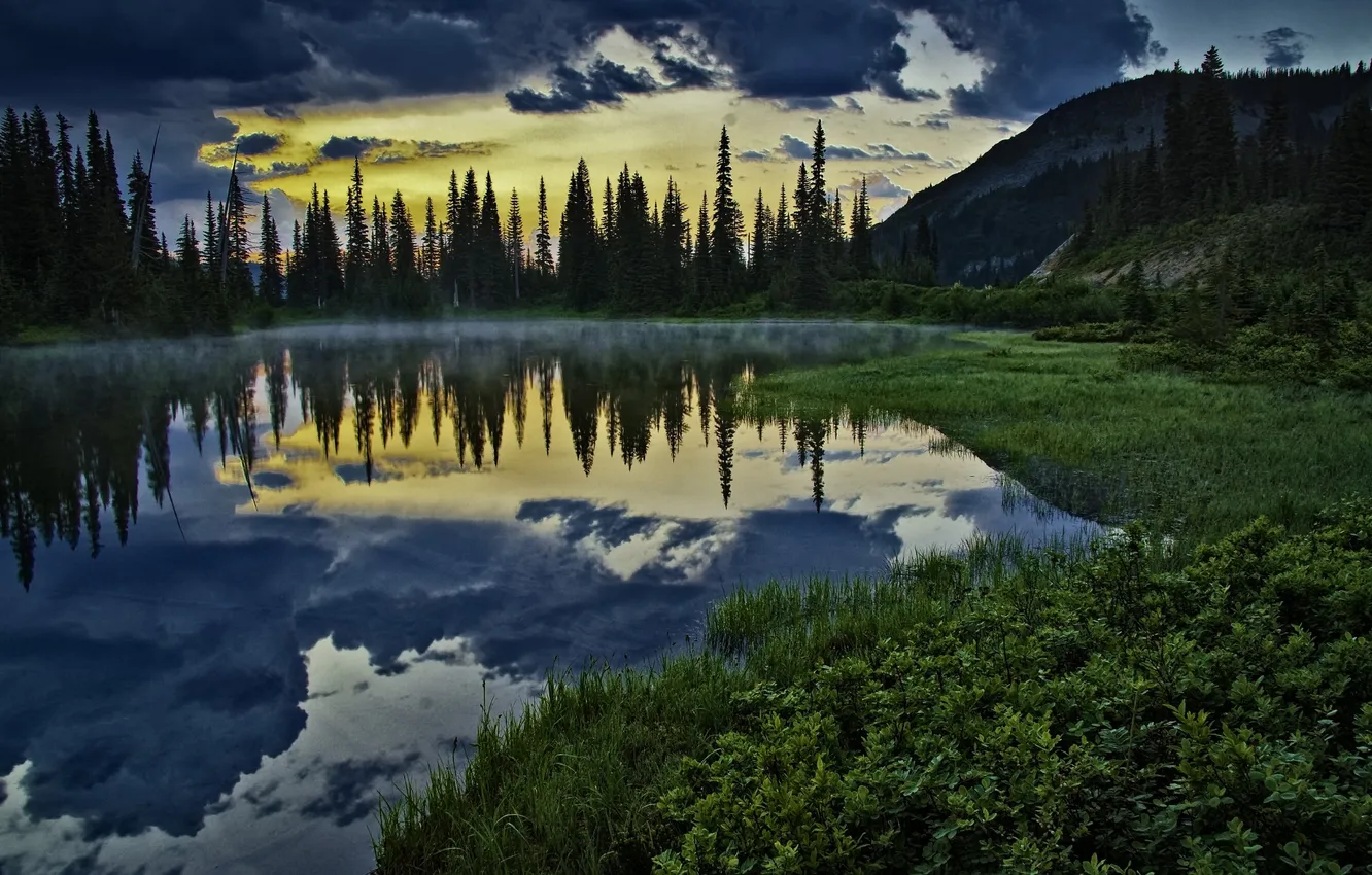 Фото обои лес, трава, пейзаж, закат, природа, озеро
