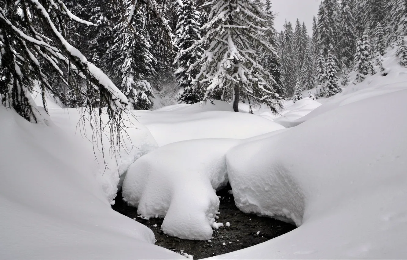 Фото обои зима, лес, вода, снег, деревья, ручей, сугробы