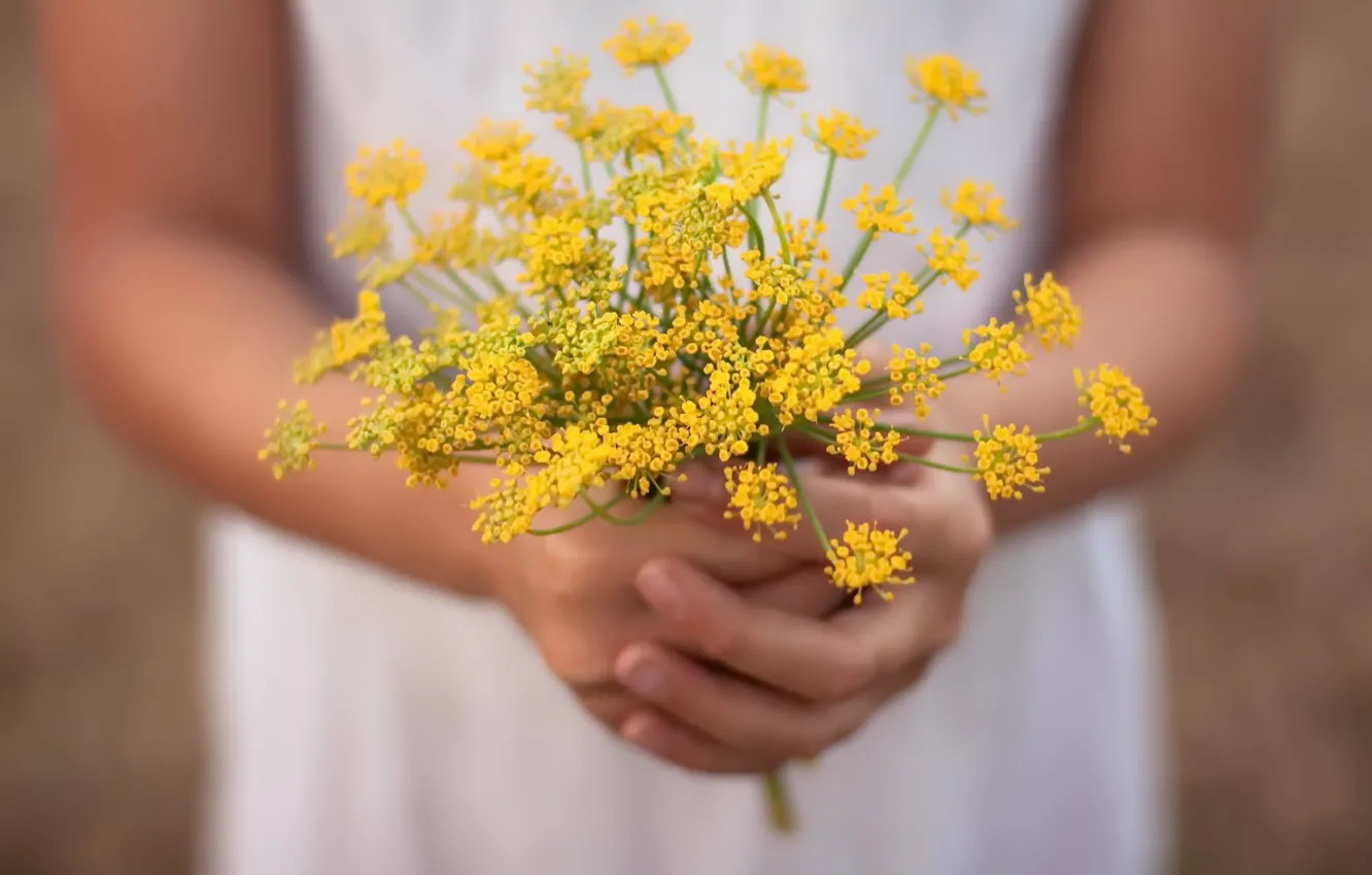 Фото обои лето, цветы, руки