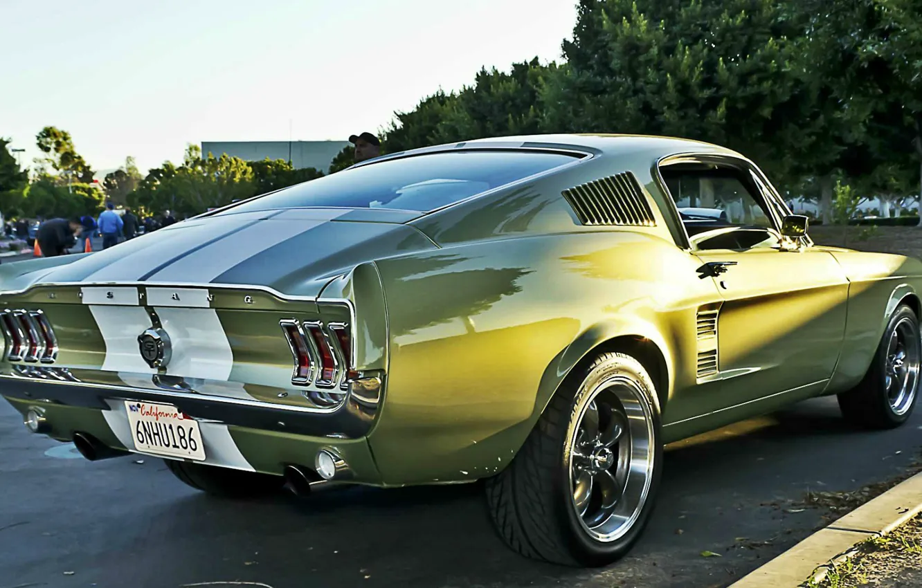 Фото обои Mustang, Ford, muscle car