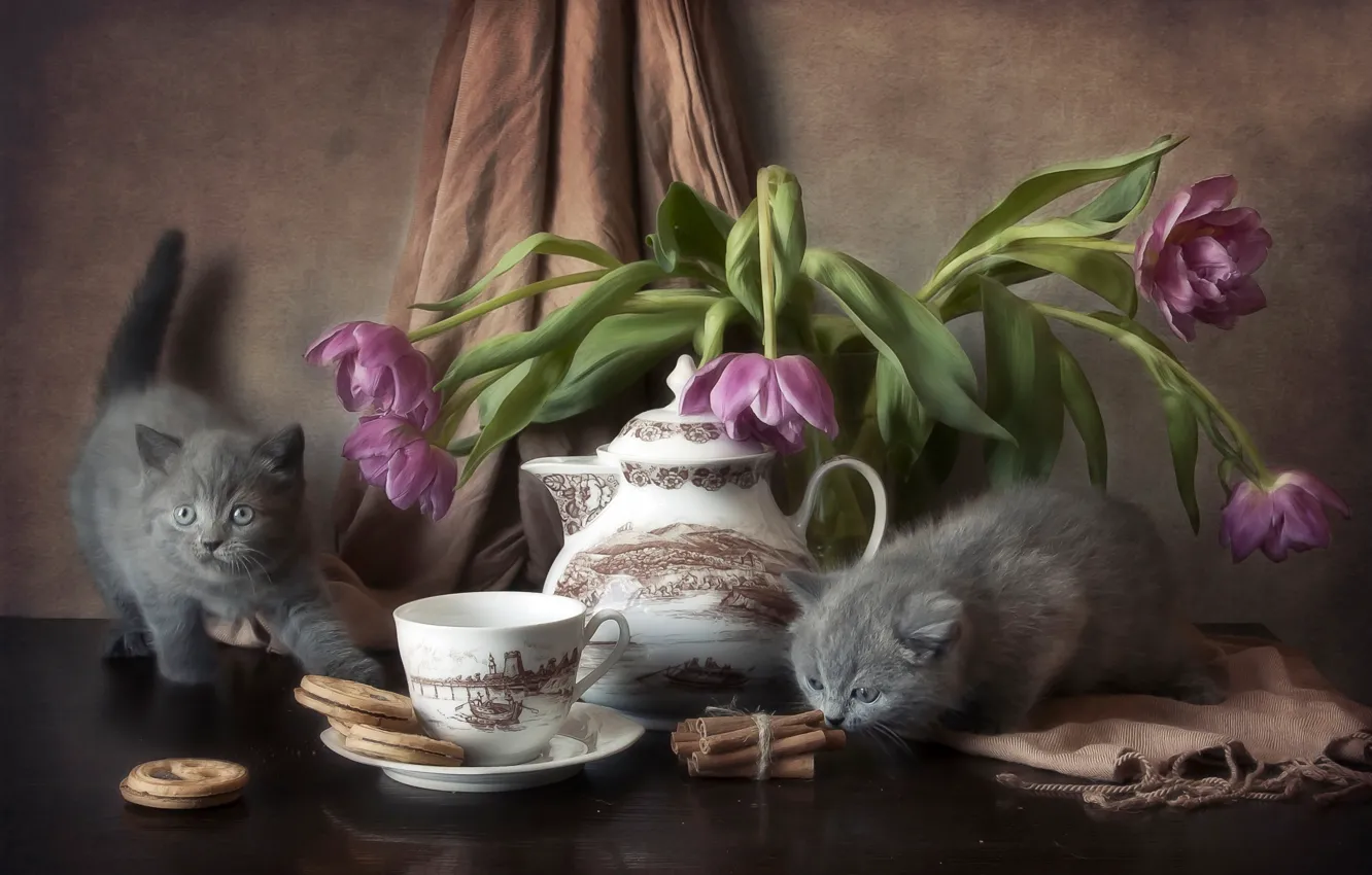 Фото обои цветы, стол, печенье, котята