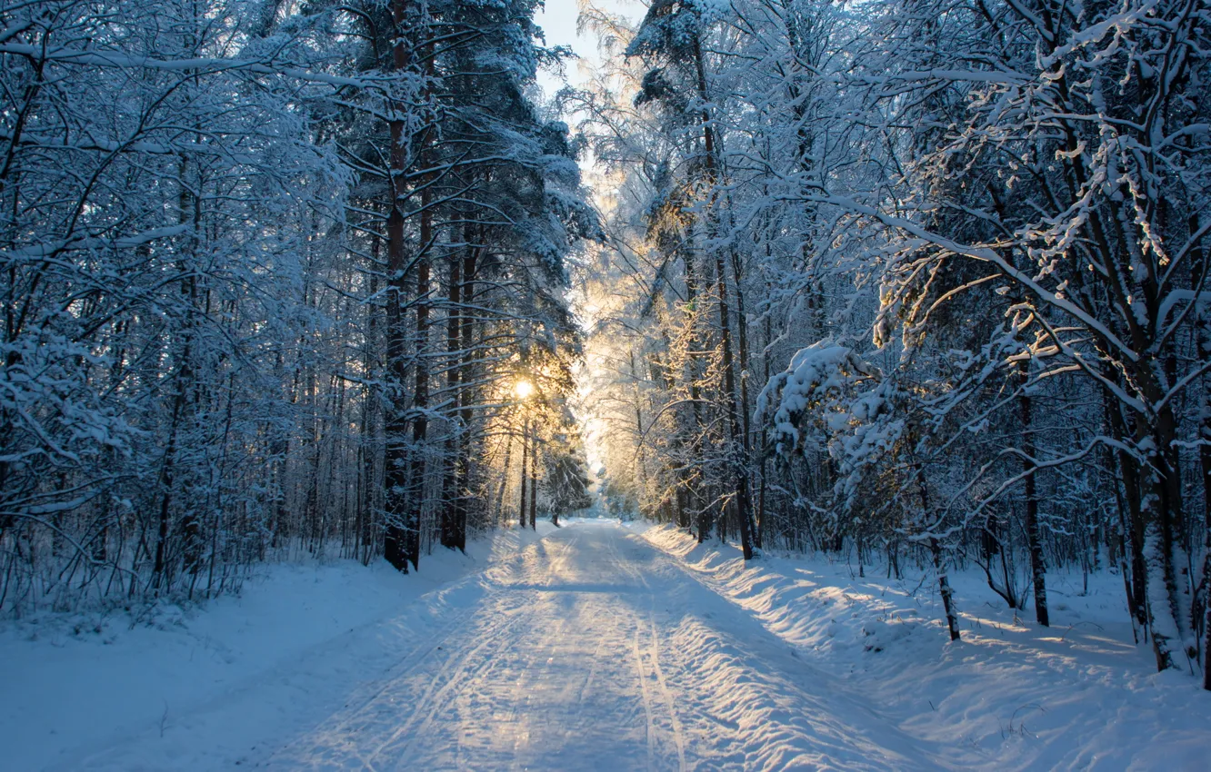 Фото обои солнце, снег, Дорога, утро, мороз