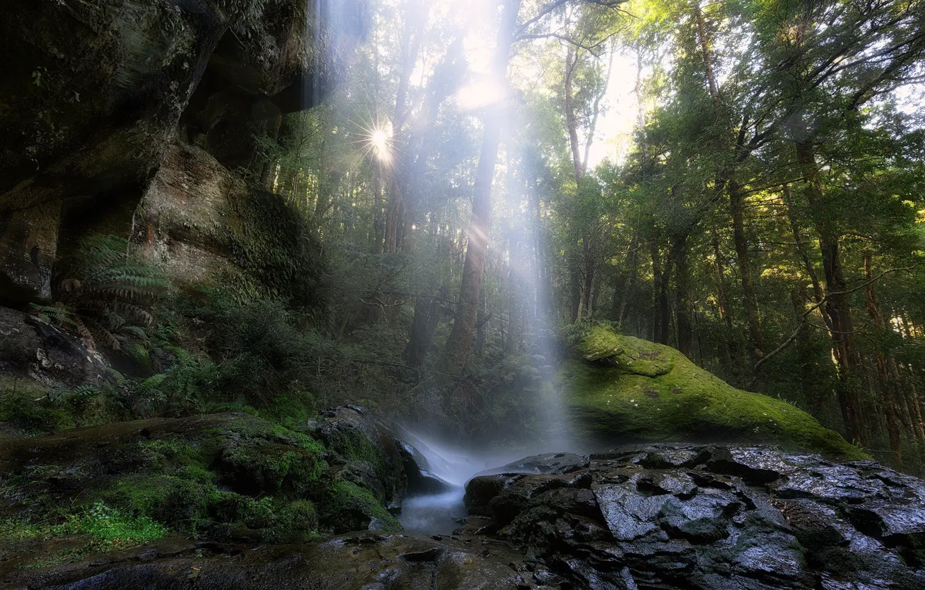 Фото обои лес, природа, камни, водопад, Тасмания, Meander Conservation Area, Tasmania., заповедник Меандр