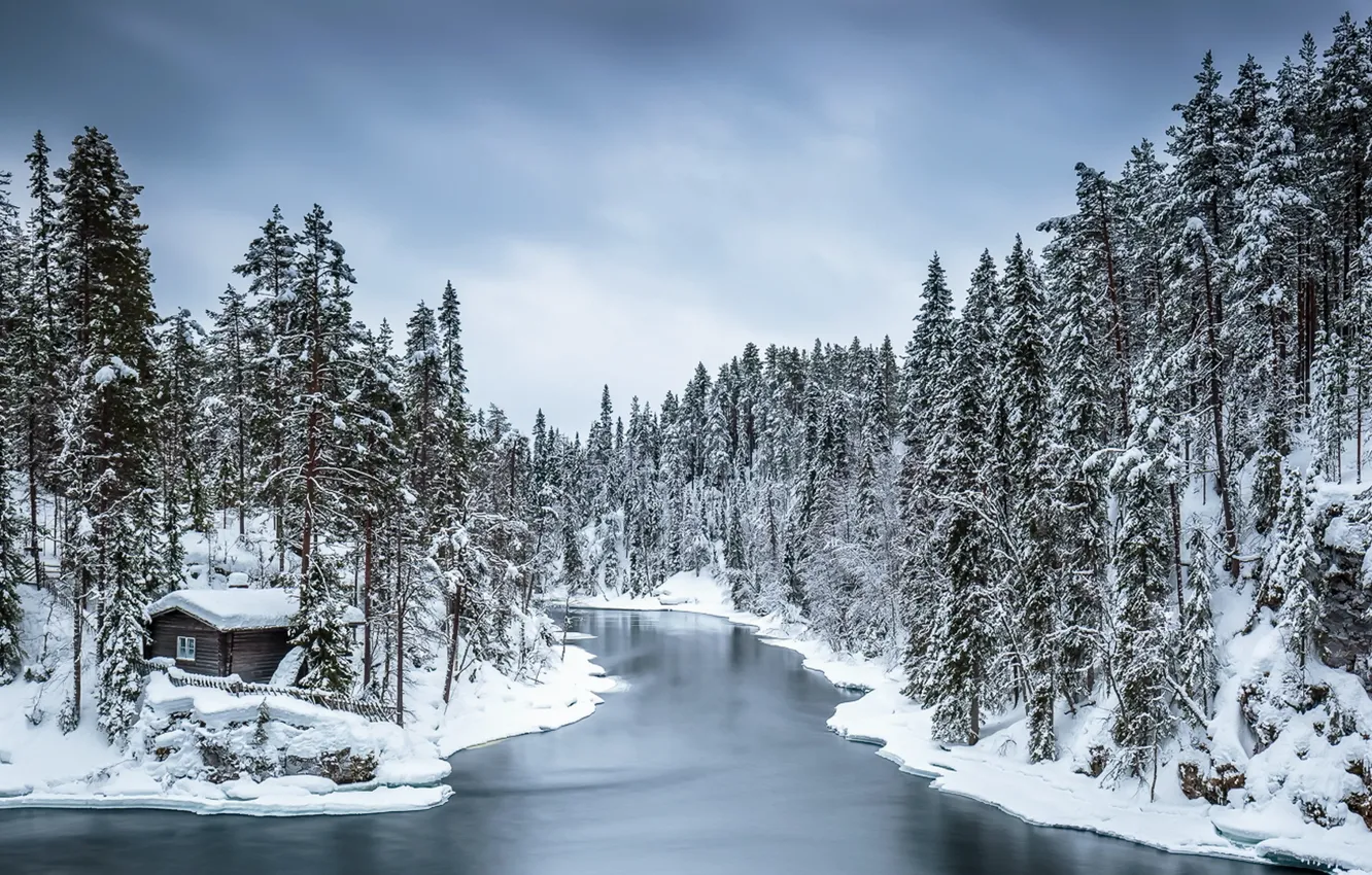 Фото обои зима, лес, дом, река