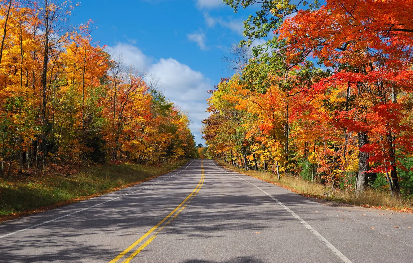 Фото обои дорога, осень, лес, небо, деревья, шоссе