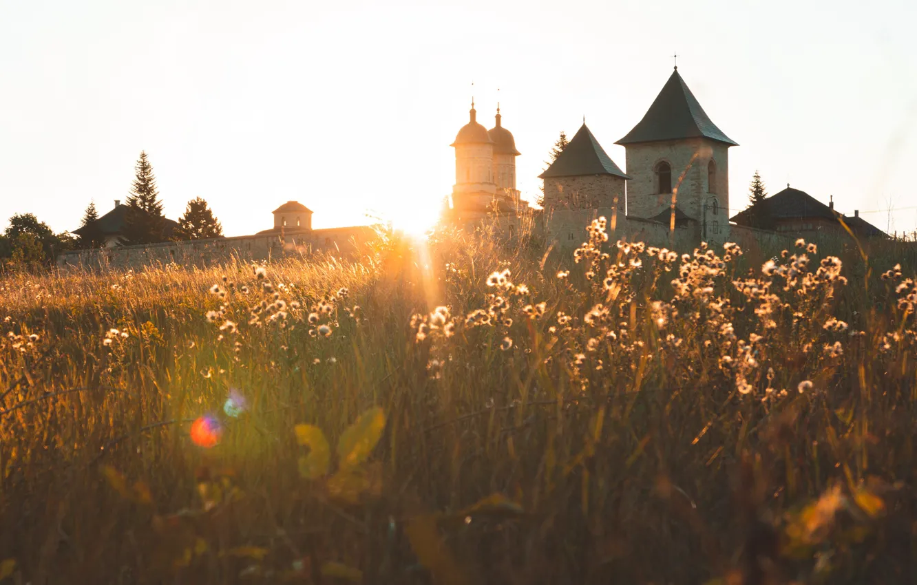 Фото обои трава, свет, церковь