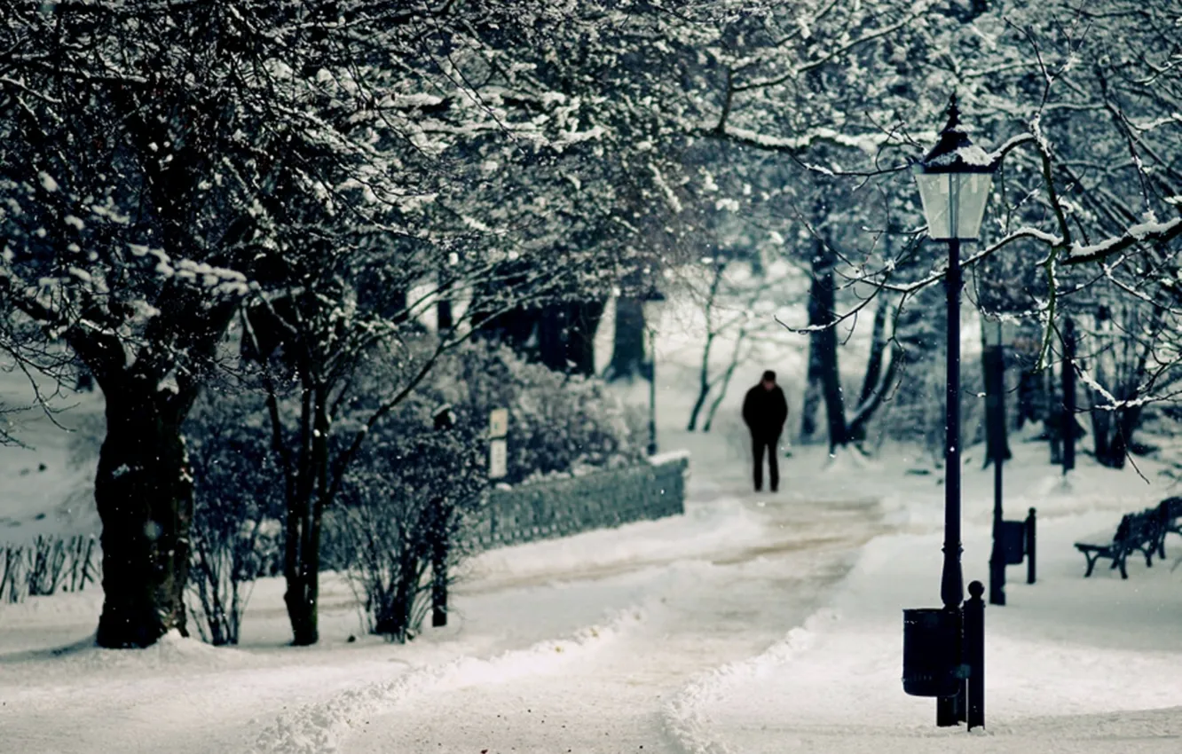 Фото обои снег, дерево, человек, лавочка, фонарь, зама