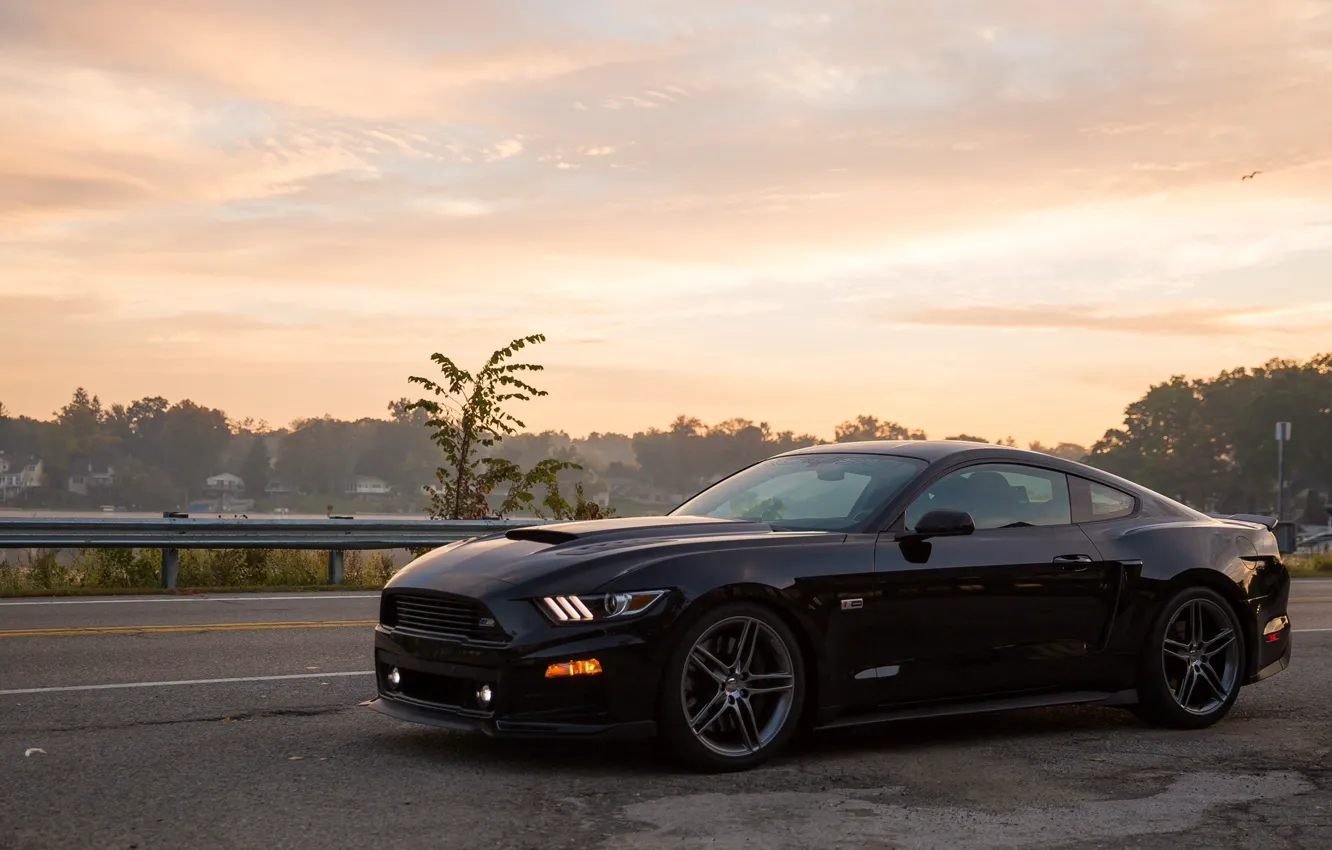 Фото обои Mustang, Ford, diski