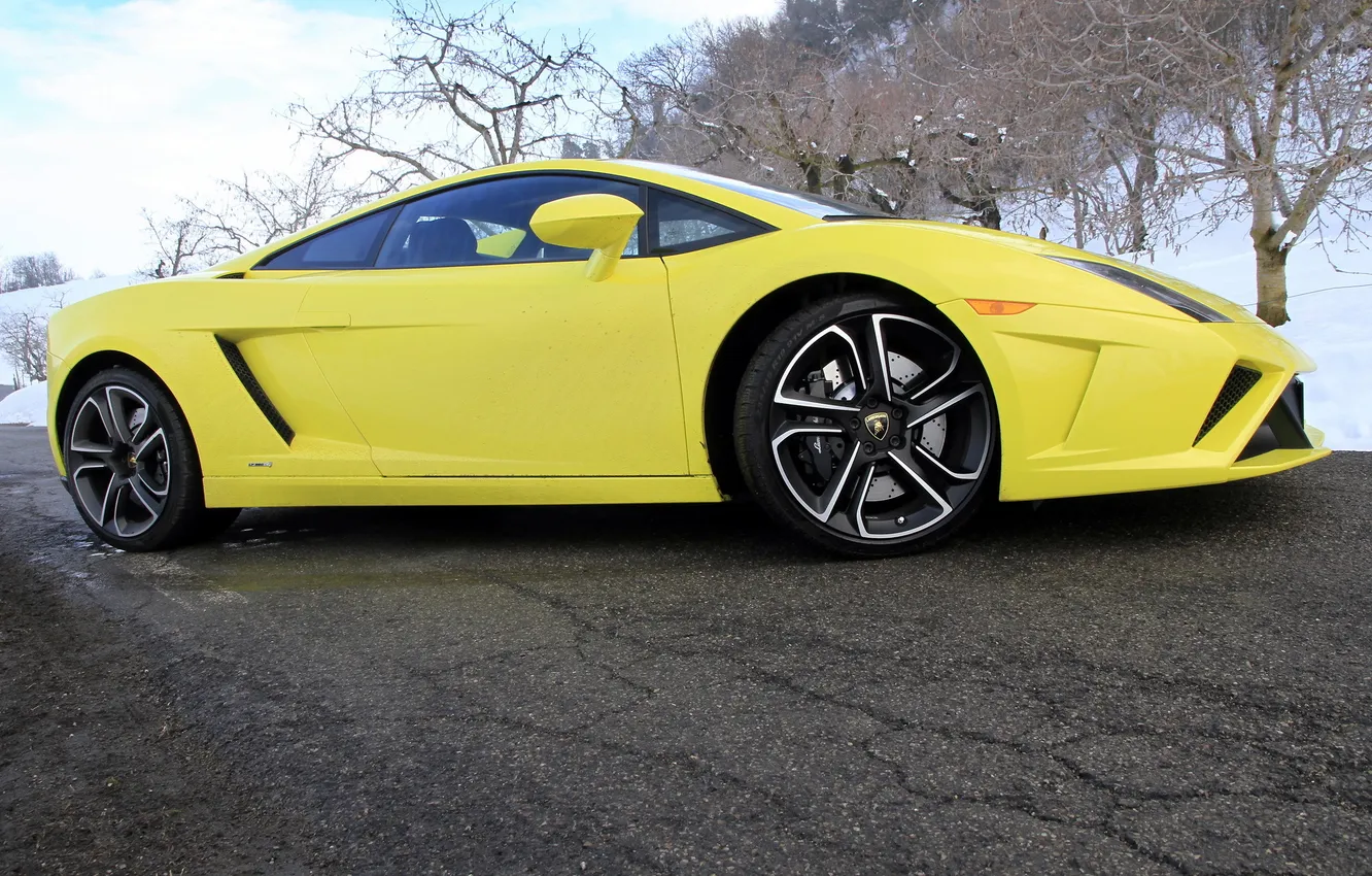 Фото обои Lamborghini, колеса, Gallardo, автомобиль, LP560-4