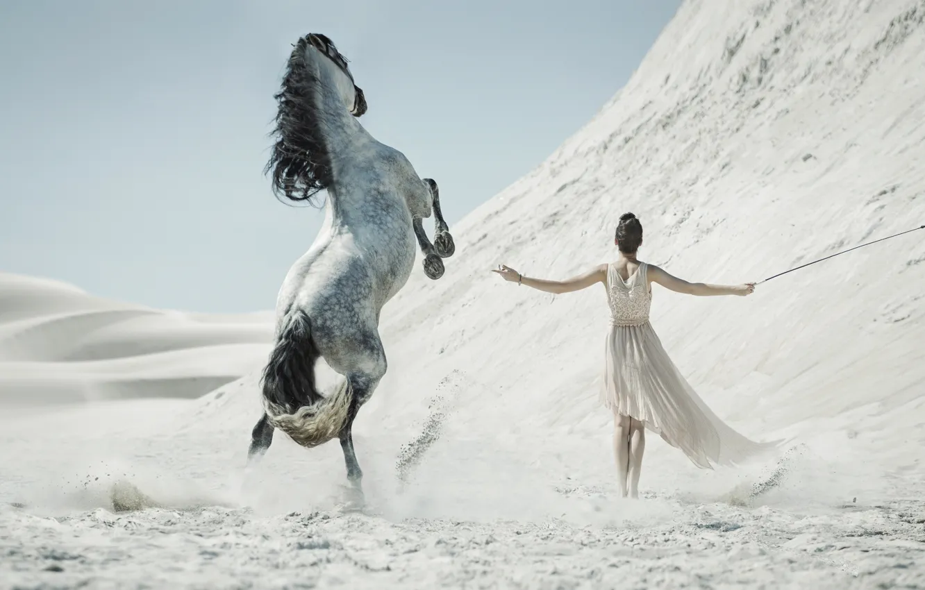 Фото обои песок, девушка, конь, пустыня, кнут