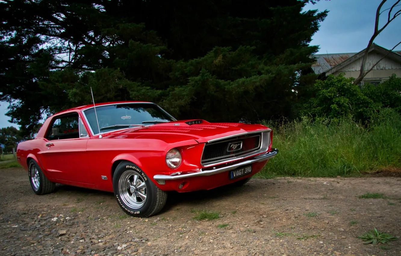 Фото обои Mustang, Ford, red, Coupe, muscle car, '1968, GT 390