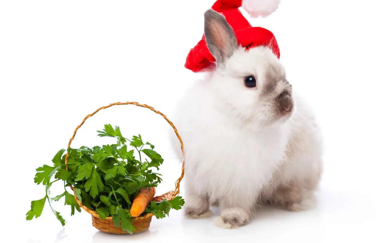 Фото обои корзина, кролик, Новый год, морковь