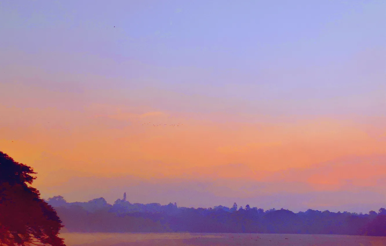 Фото обои Sky, Water, Sunrise, Dawn, Morning, Lake, Trees, First Light